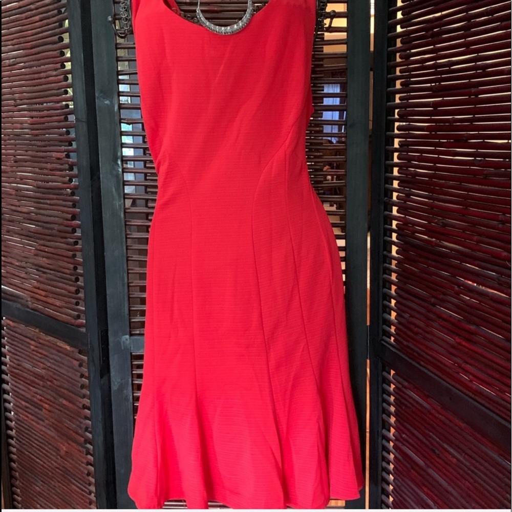 Lane Bryant Dress NWT